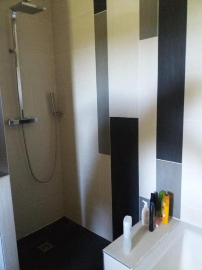 Privatunterkunft Chambres, Cuisine, Piscine, Spa, Billards, Airhockey, Nature *