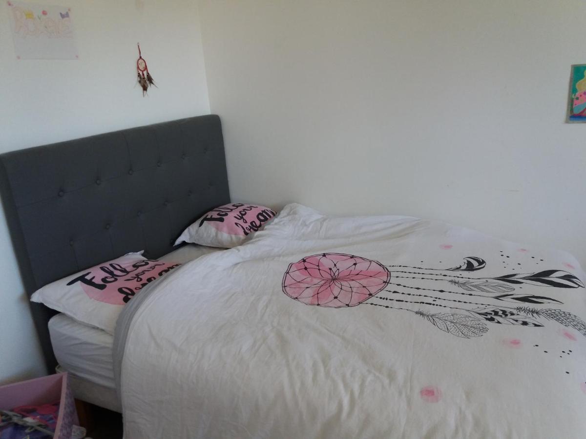 Chambres, Cuisine, Piscine, Spa, Billards, Airhockey, Nature Privatunterkunft Fillinges